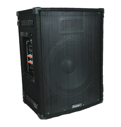 Stranger speaker 15 inch 2024 price