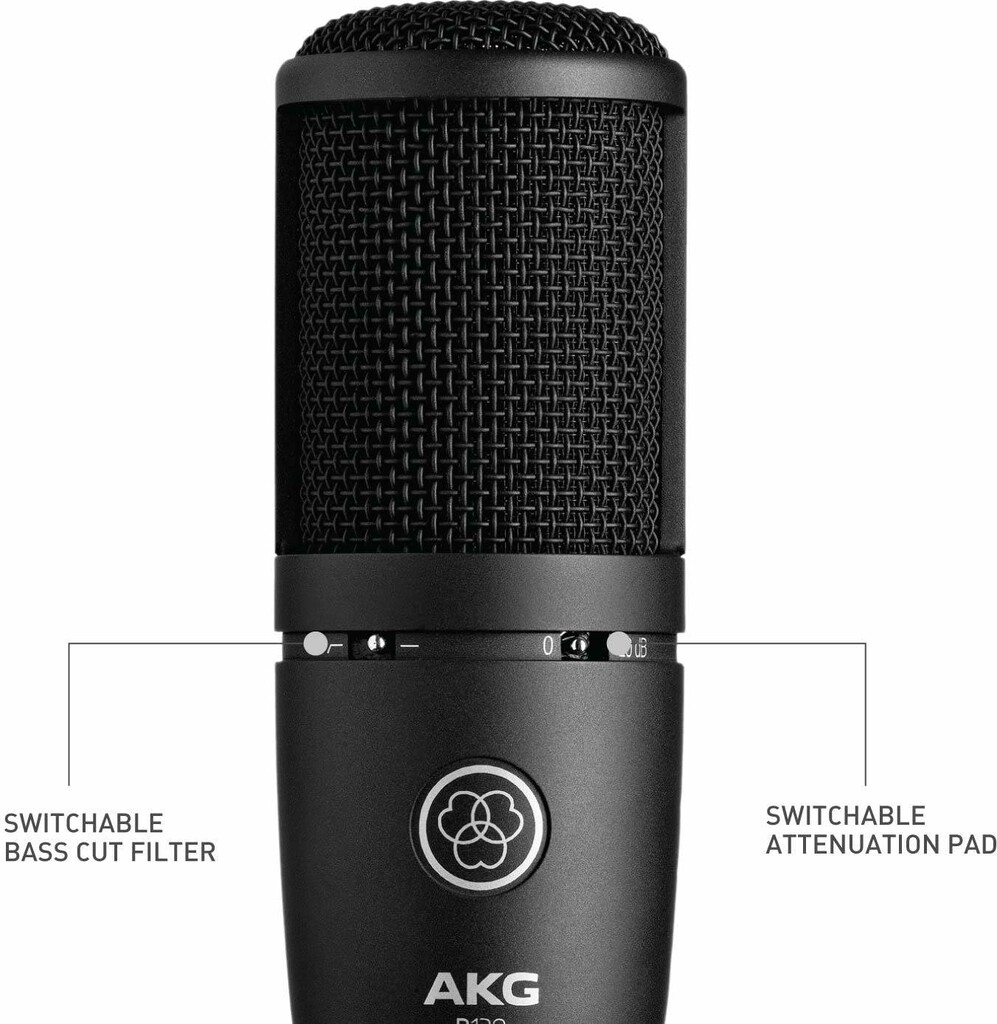 AKG P120 High-Performance Cardioid Condenser Microphone