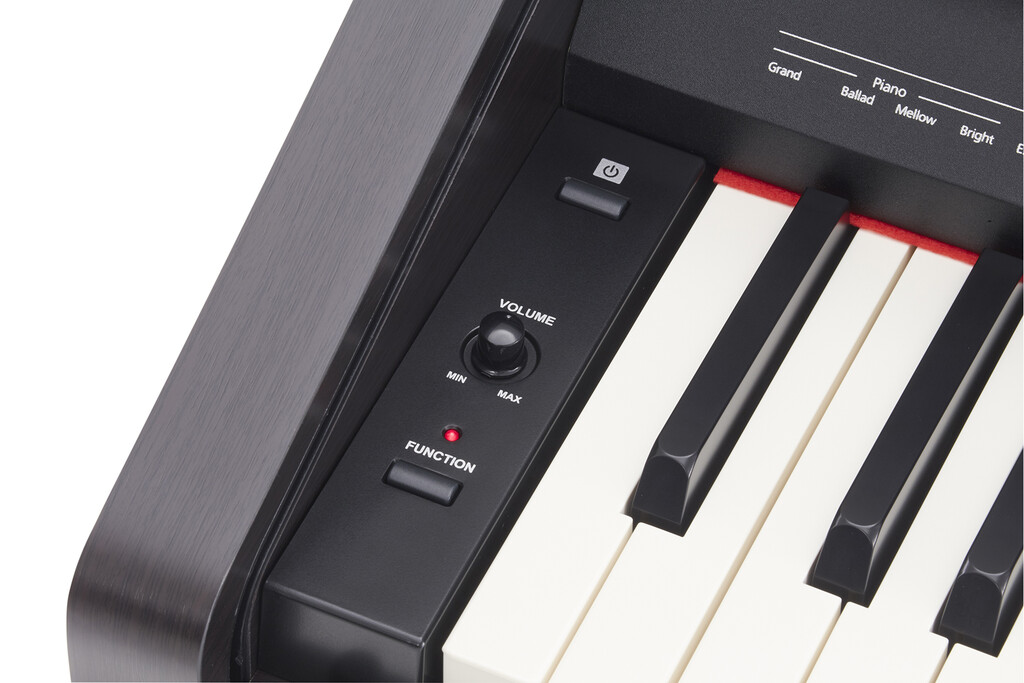 Roland RP30 88-Key Digital Piano