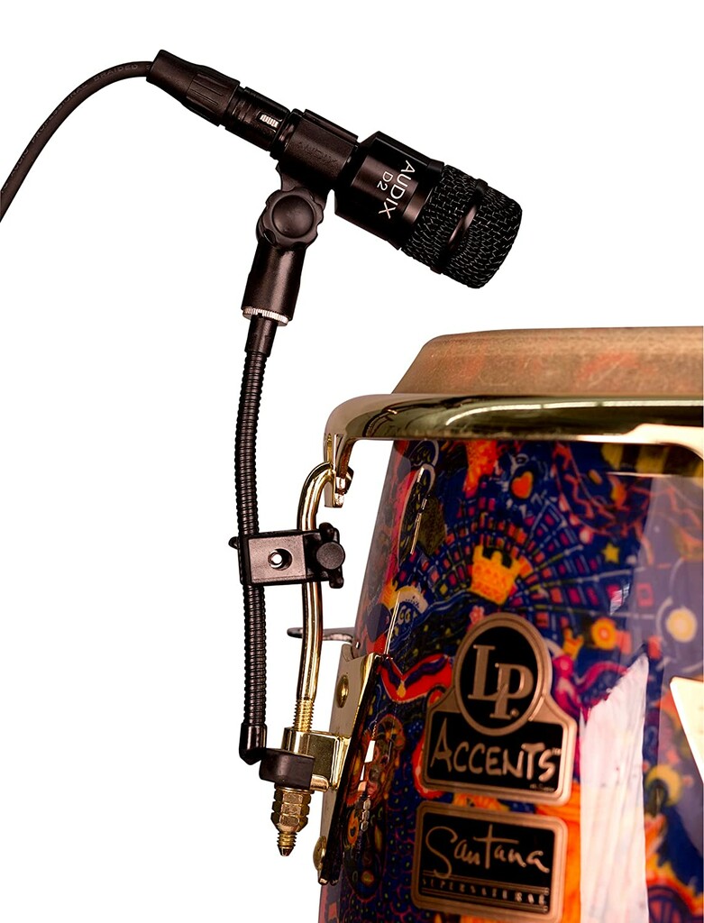 Audix D2 Professional Dynamic Instrument Microphone