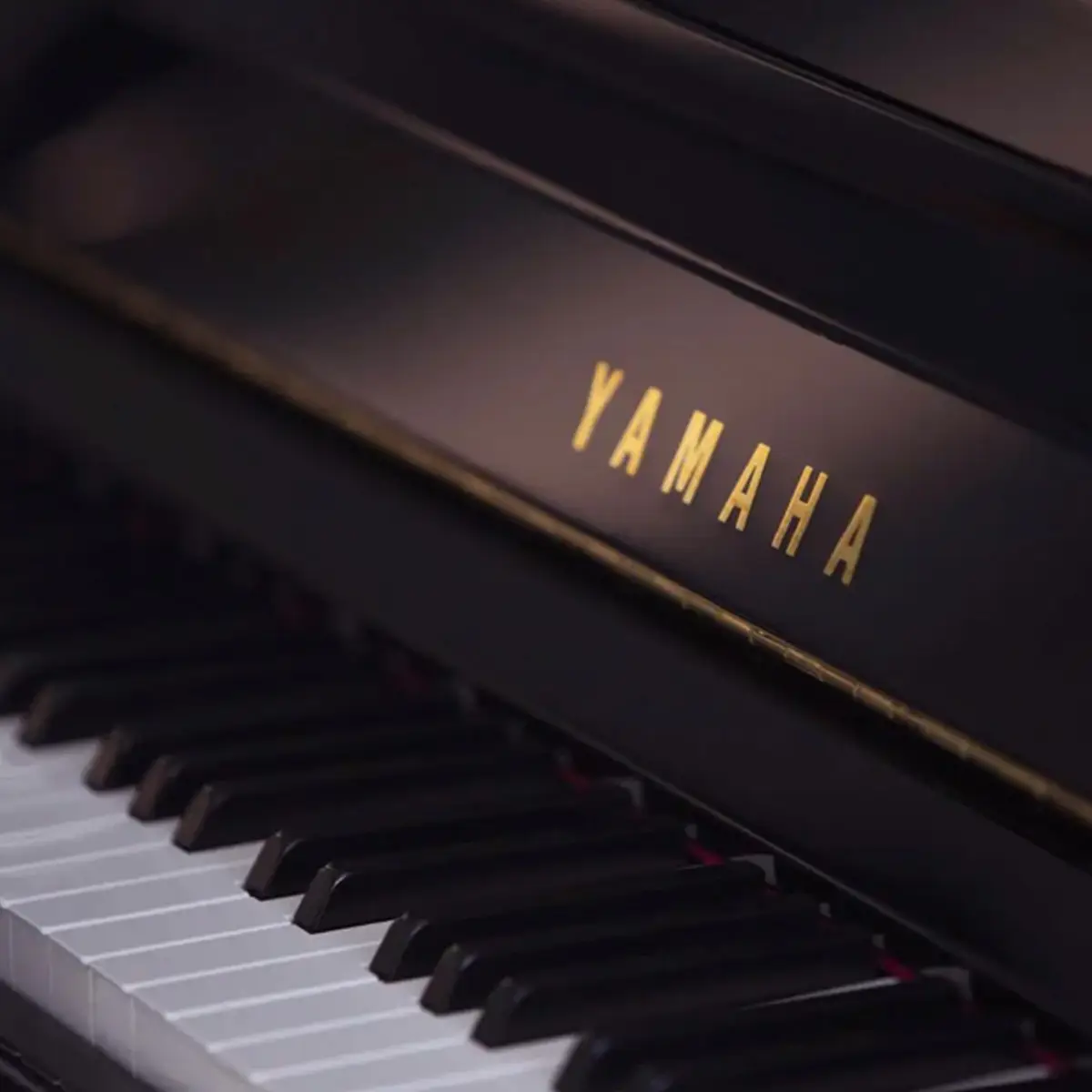 Yamaha store ju109 price