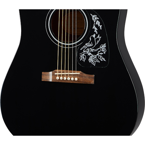 ギター Epiphone Starling Ebony Epiphone Starling Ebony (EB) アコースティックギター - 神奈川