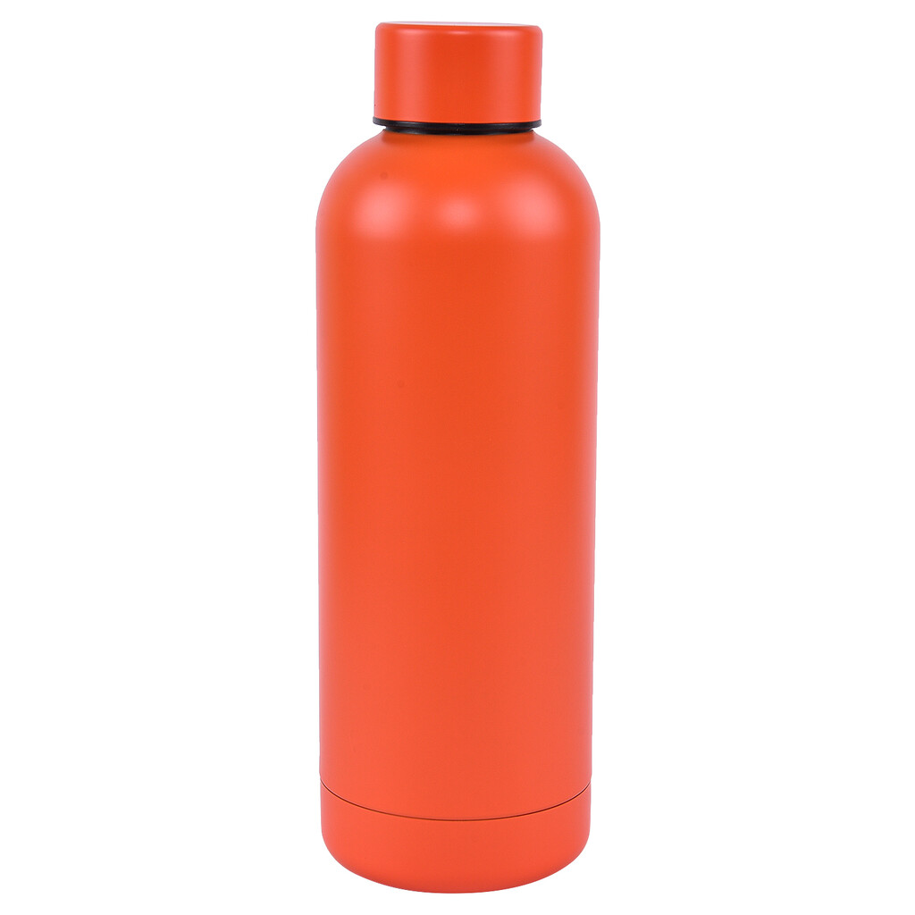 Stainless Steel Bottle